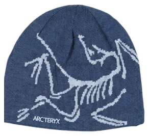 Slate bird beanie